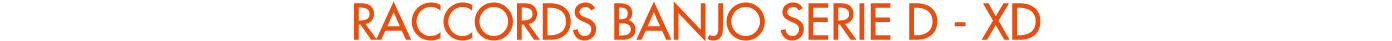 RACCORDS BANJO SERIE D XD